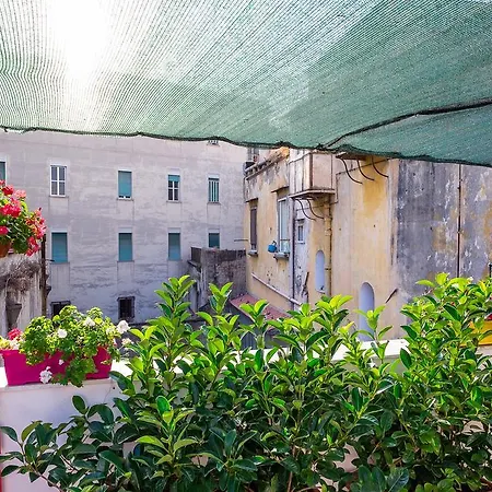 Via Speranzella Apartment Naples